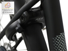 E-Bike Brinckers Brisbane AXA Rahmenschloss mit Einsteckmöglichkeit für eine Kette E-Bike Brinckers Brisbane AXA Rahmenschloss mit Einsteckmöglichkeit für eine Kette