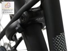 E-Bike Brinckers Brisbane AXA Rahmenschloss mit Einsteckmöglichkeit für eine Kette E-Bike Brinckers Brisbane AXA Rahmenschloss mit Einsteckmöglichkeit für eine Kette