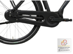 E-Bike Brinckers Brisbane Kettenkasten und Reifen E-Bike Brinckers Brisbane Kettenkasten und Reifen