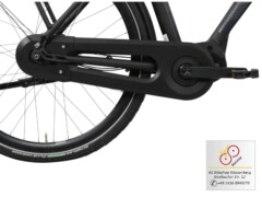 E-Bike Brinckers Brisbane Kettenkasten und Reifen E-Bike Brinckers Brisbane Kettenkasten und Reifen