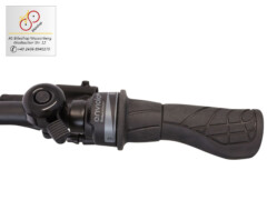 E-Bike Brinckers Brisbane Drehgriff Enviolo M310 E-Bike Brinckers Brisbane Drehgriff Enviolo M310